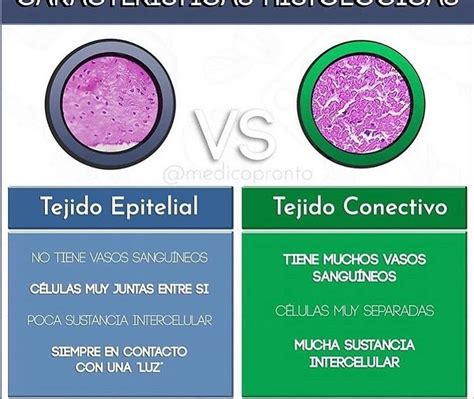  Fibrin: La proteína naturalmente fibrosa para la regeneración tisular!