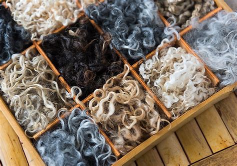  ¿Qué hace que la Wool Wax sea una maravilla para la industria textil?